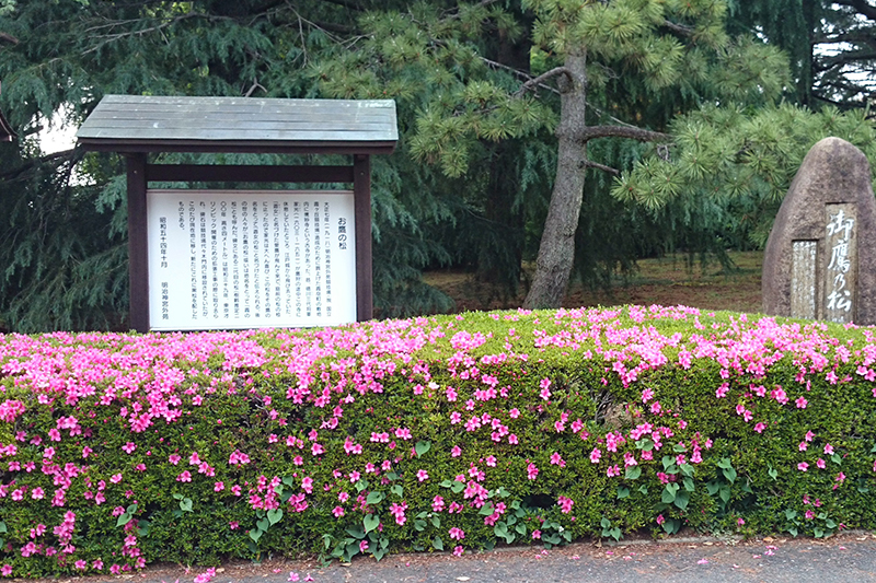 明治神宮